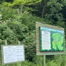 평창들꽃 | 대관령 양떼목장 여름에도 가기 좋은 평창 여행코스