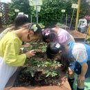 이레어린이집 이미지