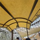 제이엘영어학원 | JL English 그래머셰프 통합반(클래스2)과 함께한 에버랜드 현장체험학습 후기