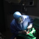 신성치과의원 이미지