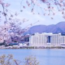 소노벨 경주 이미지