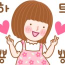 Cat garden 이미지