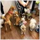 카페5번지 이미지