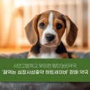 동탄365약국 이미지