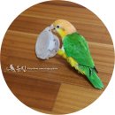 구름이네 까까 이미지