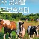 소울펠리시티