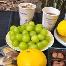 로아인터네셔널 이미지