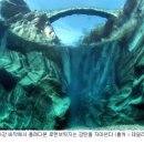 맑은 다리