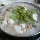 싱글벙글복어 이미지