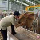 심우농장 이미지