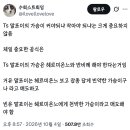 해리포터 안 봤는데 말포이랑 헤르미온느랑 무슨 사이야? 이미지