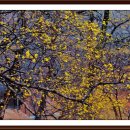 백산마을 이미지