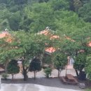 양화황토펜션 이미지