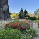 서빙고(근린공원) 이미지