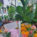 북안남6길 이미지