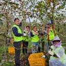 태안농협 이미지