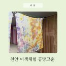 천안공방 추천 공방고운 천안원데이클래스 스카프 천연염색 체험 후기