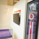 잘나가는 강아지 이미지