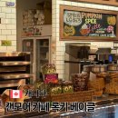 록키산장 | 캔모어 맛집 추천 록키 마운틴 베이글 컴퍼니