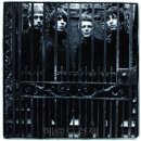 비디아이 이미지