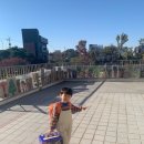 리틀윌링스 이미지