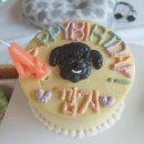 유니포리 이미지