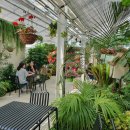 포레스트(4rest) 이미지