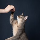 스튜디오아워 네이버블로그