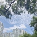 구포멸치국수 - 화성시 행정서로3길 26-20 | 구포멸치국수