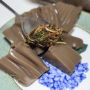 매화상회 | 성남 분당 두부 맛집 두부상회 집반찬 추천 요리