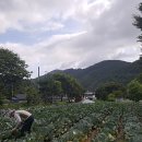 제령리 마을회관 이미지