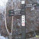 지리산서바이벌 이미지