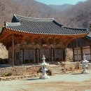정혜사 Daum카페