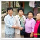 삼화동성황당 Daum카페