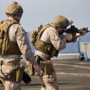 24시동물병원 이미지