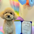 슬기유치원 이미지