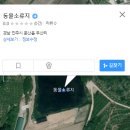 동물소류지 Daum카페
