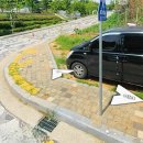 SK인천석유화학(42768) | 인천 서구 SK 석유화학 벚꽃동산 오픈일, 주차정보, 근처맛집