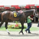 제이에스 이미지