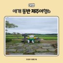 찐빵목장 이미지