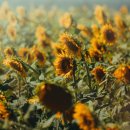 축복공인중개사사무소 이미지