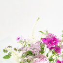 로즈팜 | 용산역꽃집 로즈팜에 방문한후기