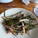 제주복돼지 이미지