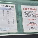 자작나무숲중간 이미지