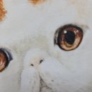 시선미술학원 이미지