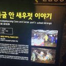 광명동굴 (동측광장) 이미지