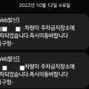 주정차단속-114 네이버블로그
