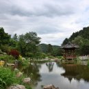 청산도회타운 이미지