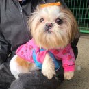 월영초등학교 이미지