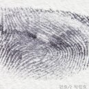 변호사박정호법률사무소